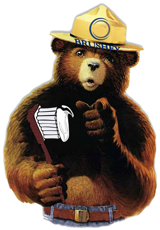 brushey-the-bear